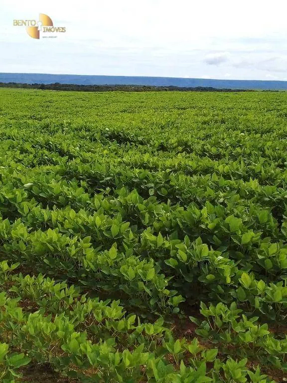 Fazenda à venda e para Arrendar de 800 ha em Nobres, MT, Brasil