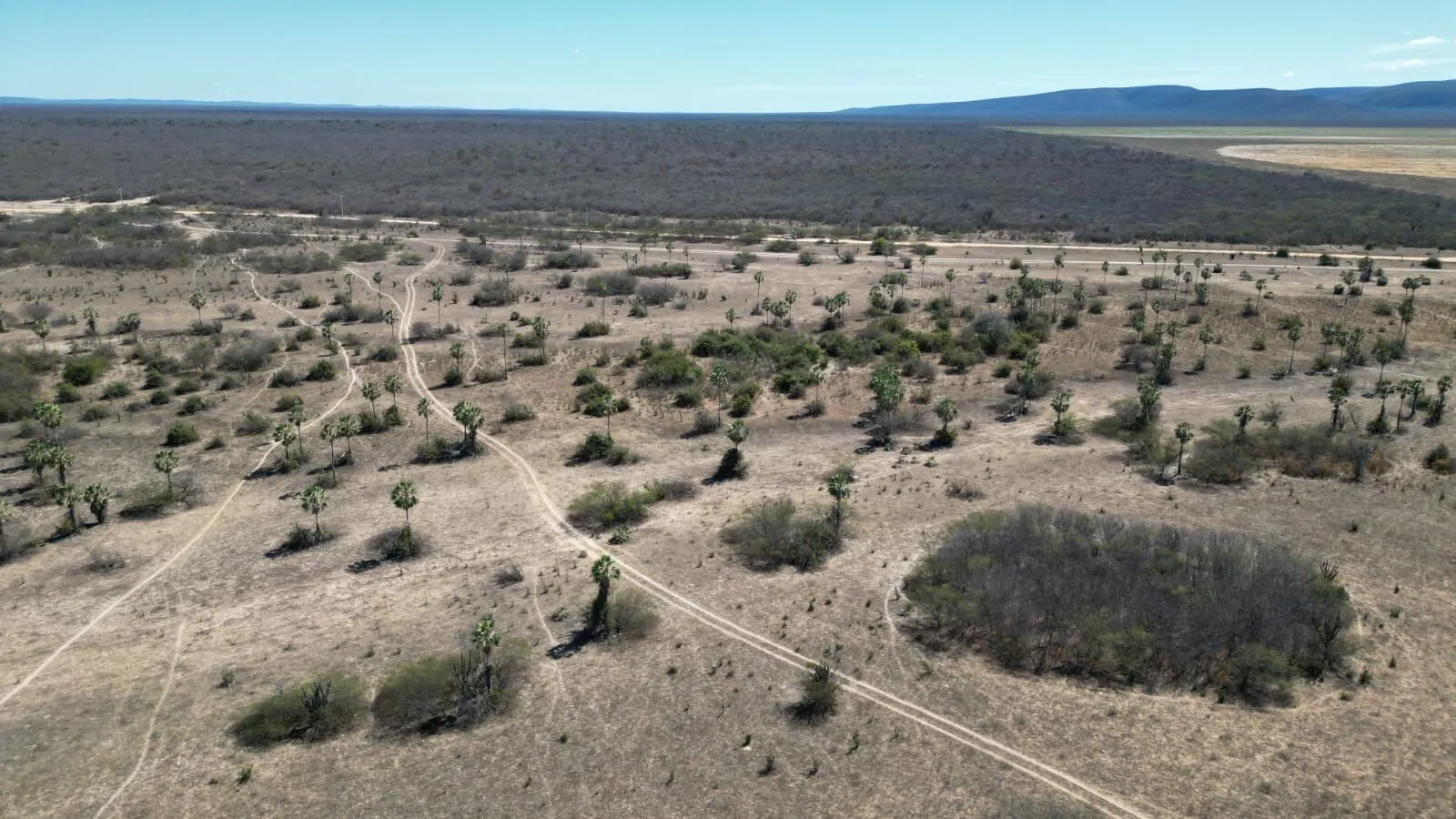 Fazenda à venda de 496 ha em Barra, BA, Brasil