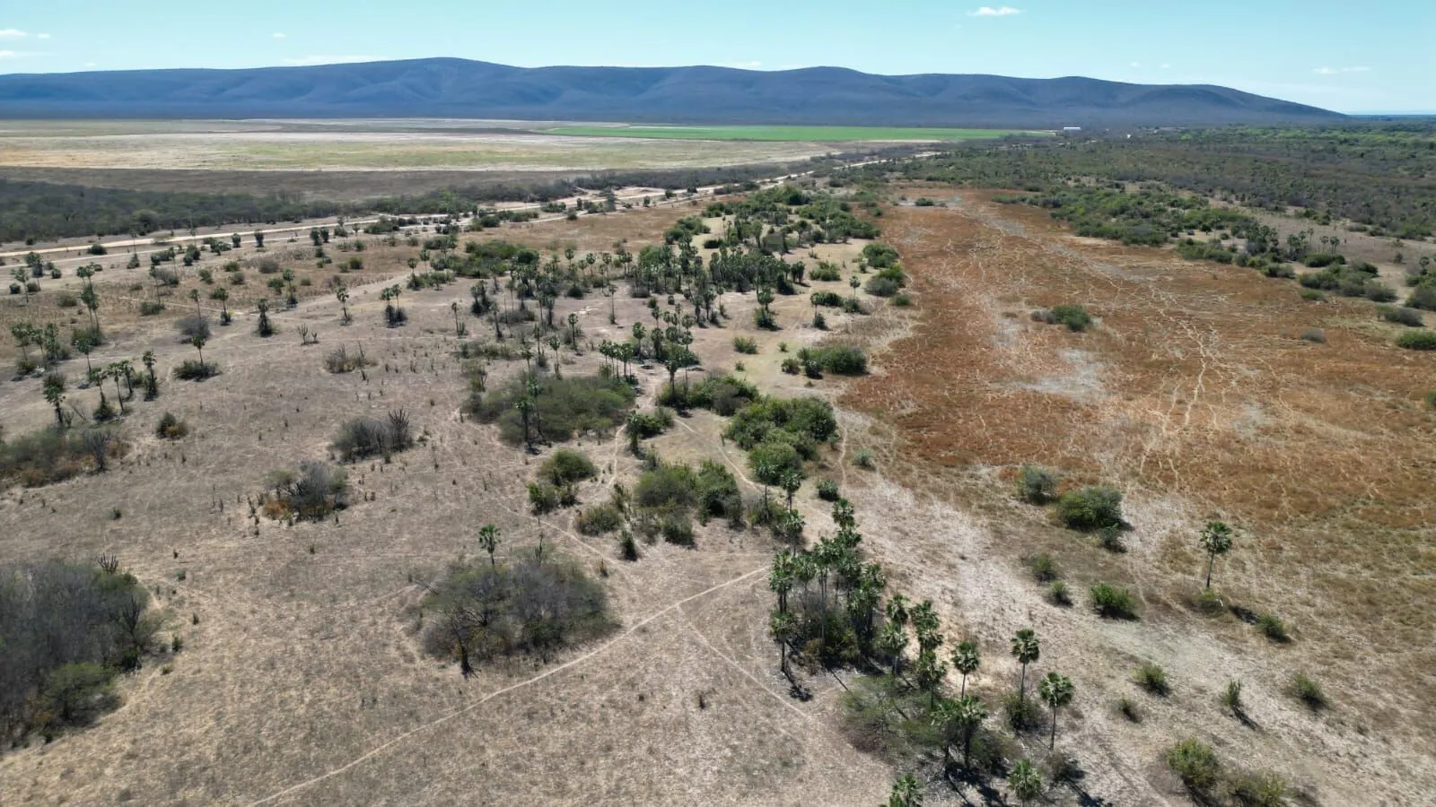 Fazenda à venda de 496 ha em Barra, BA, Brasil