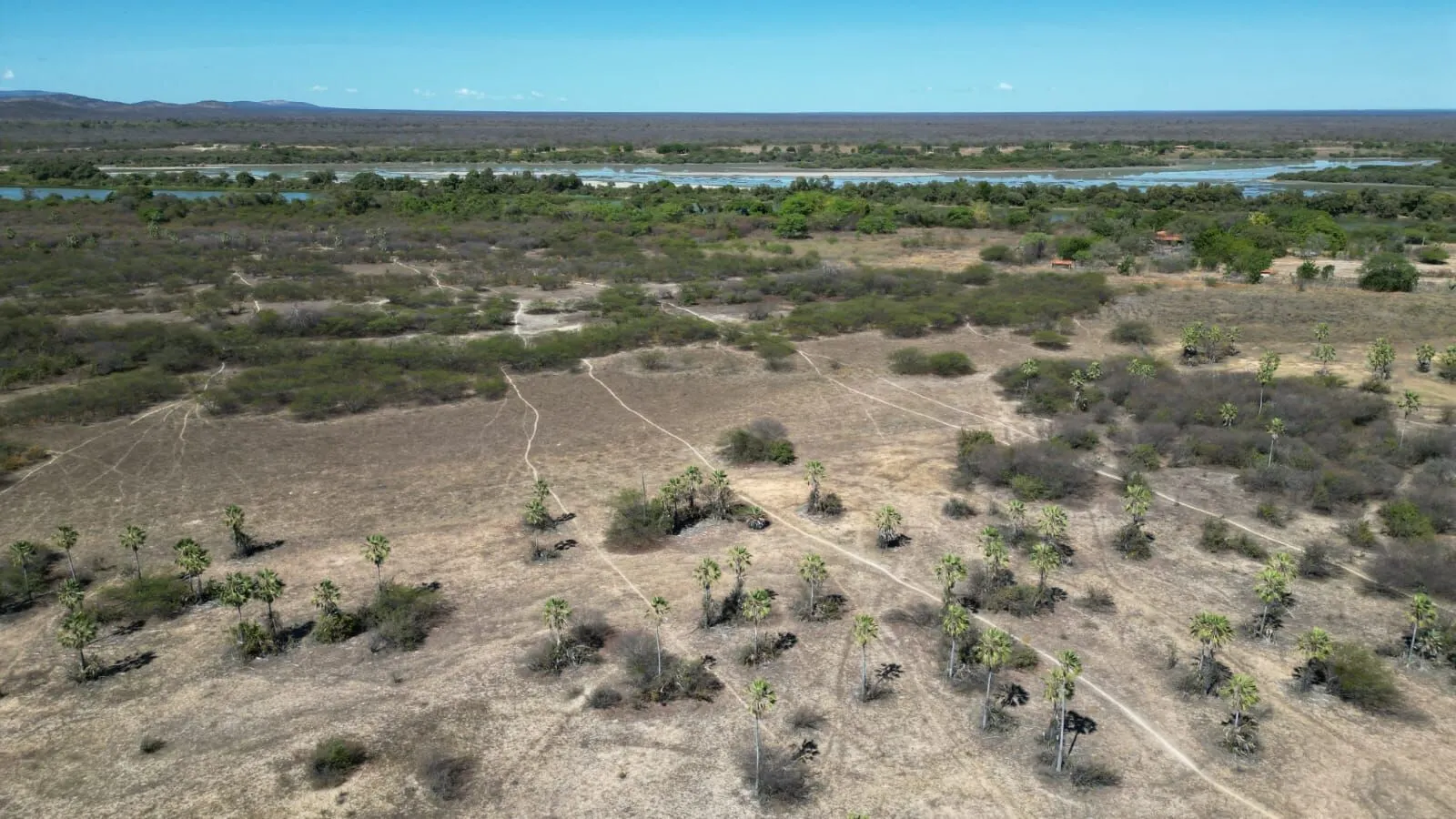 Fazenda à venda de 496 ha em Barra, BA, Brasil