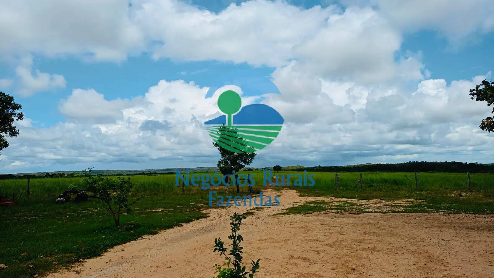 Farm for sale of 15,568 acres in Lagoa do Tocantins, TO, Brazil