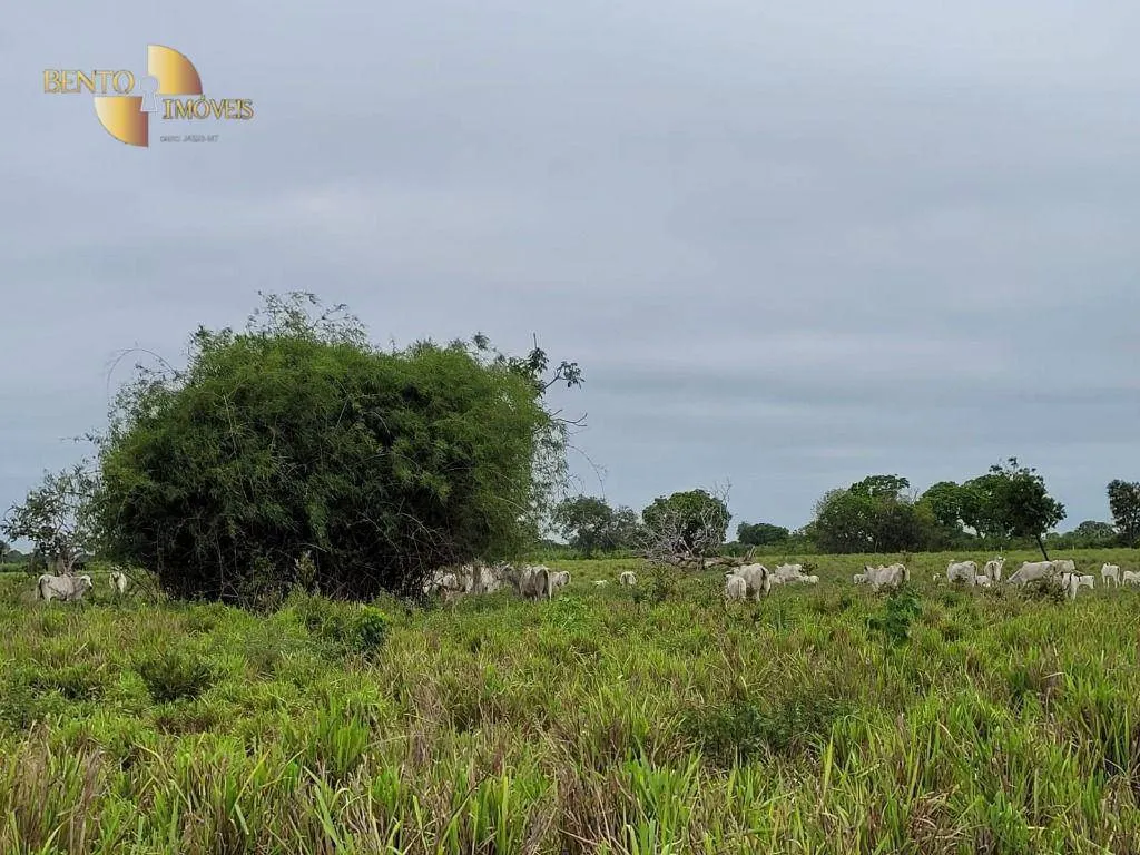 Fazenda à venda de 6.135 ha em Rondonópolis, MT, Brasil