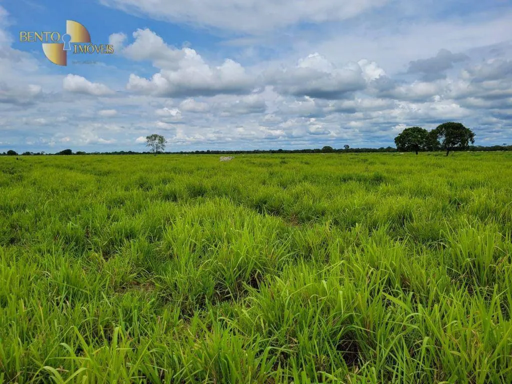 Fazenda à venda de 6.135 ha em Rondonópolis, MT, Brasil