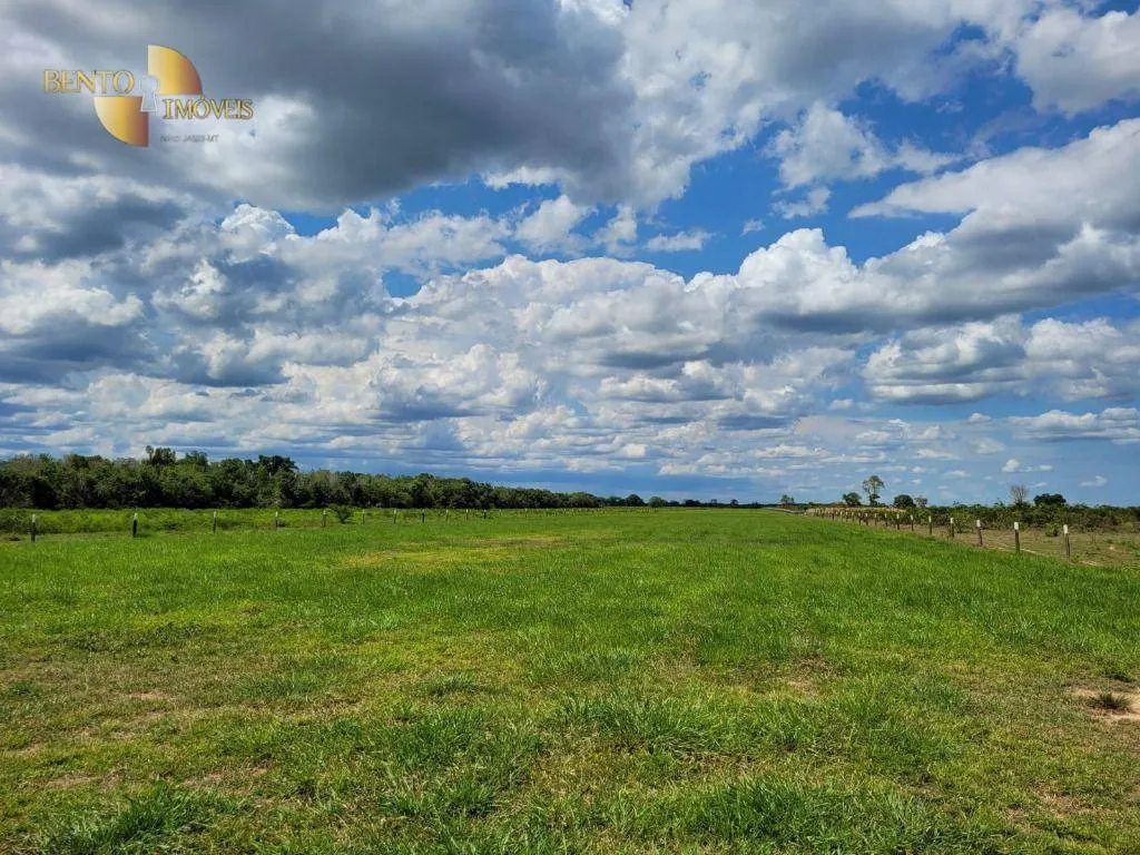 Fazenda à venda de 6.135 ha em Rondonópolis, MT, Brasil