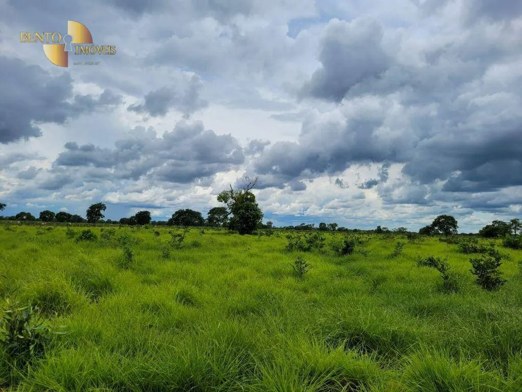 Fazenda à venda de 6.135 ha em Rondonópolis, MT, Brasil