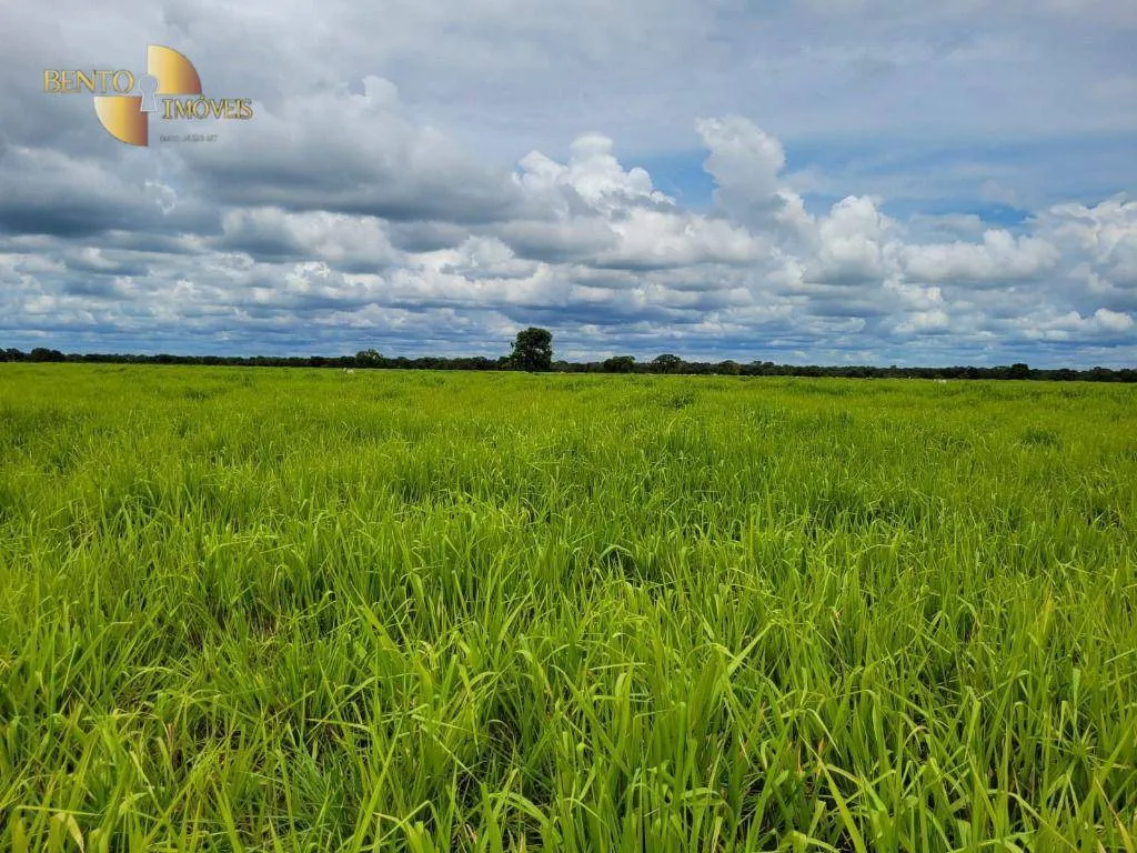 Fazenda à venda de 6.135 ha em Rondonópolis, MT, Brasil