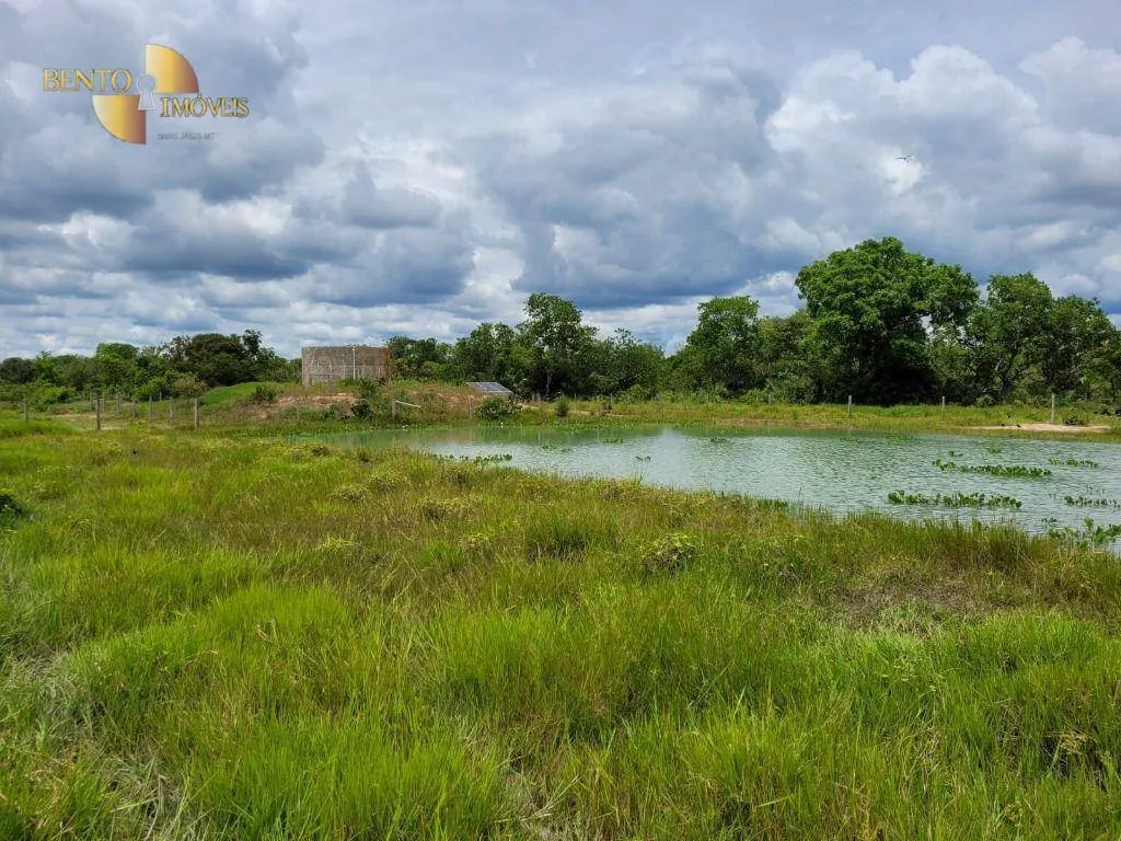 Fazenda à venda de 6.135 ha em Rondonópolis, MT, Brasil