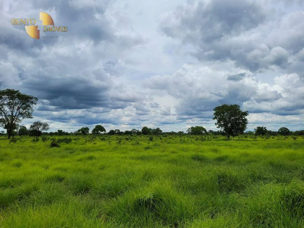 Fazenda à venda de 6.135 ha em Rondonópolis, MT, Brasil