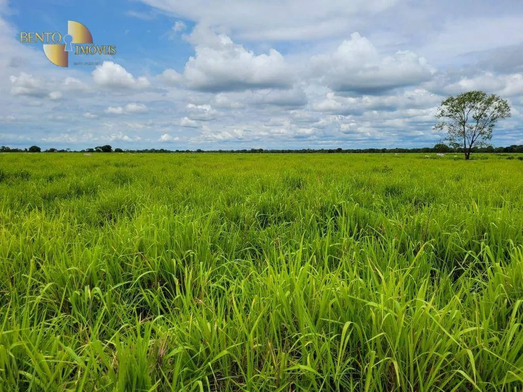 Fazenda à venda de 6.135 ha em Rondonópolis, MT, Brasil