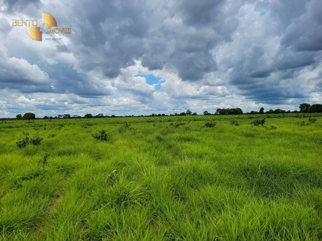 Fazenda à venda de 6.135 ha em Rondonópolis, MT, Brasil