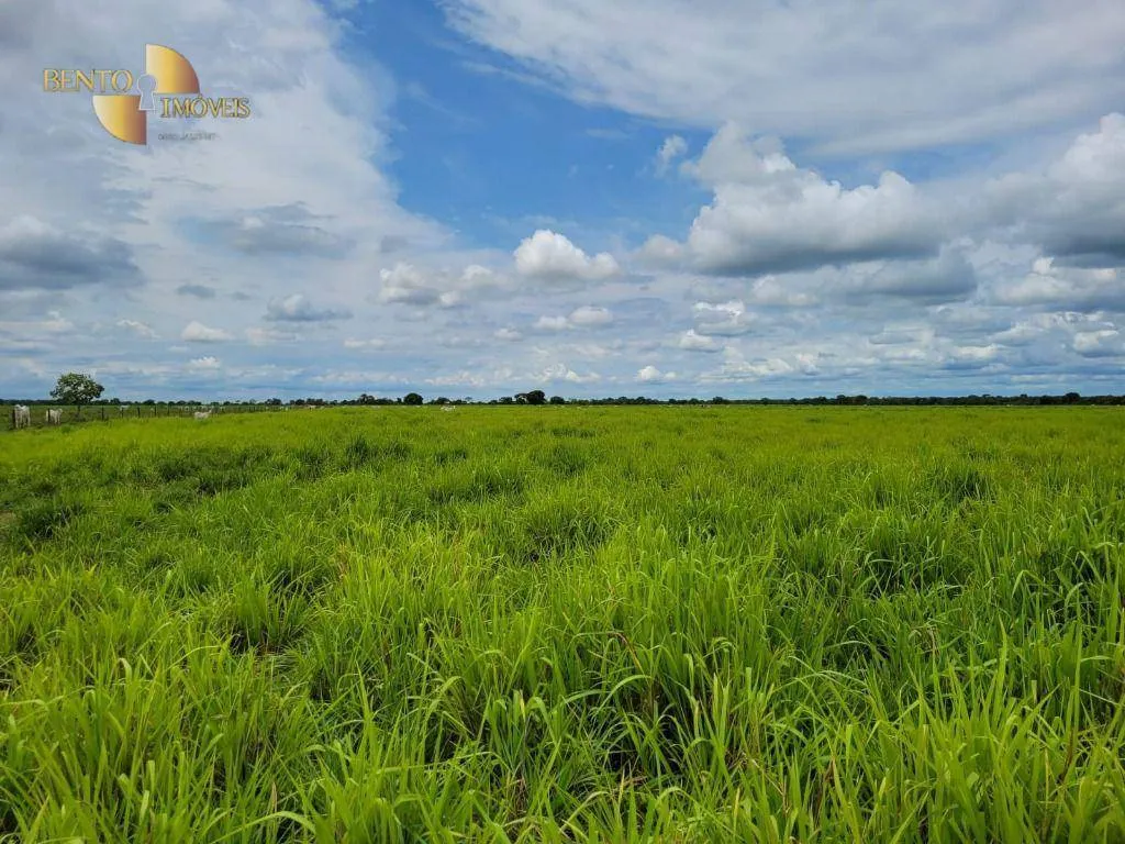 Fazenda à venda de 6.135 ha em Rondonópolis, MT, Brasil