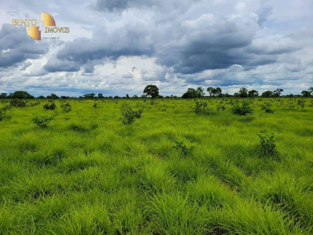Fazenda à venda de 6.135 ha em Rondonópolis, MT, Brasil