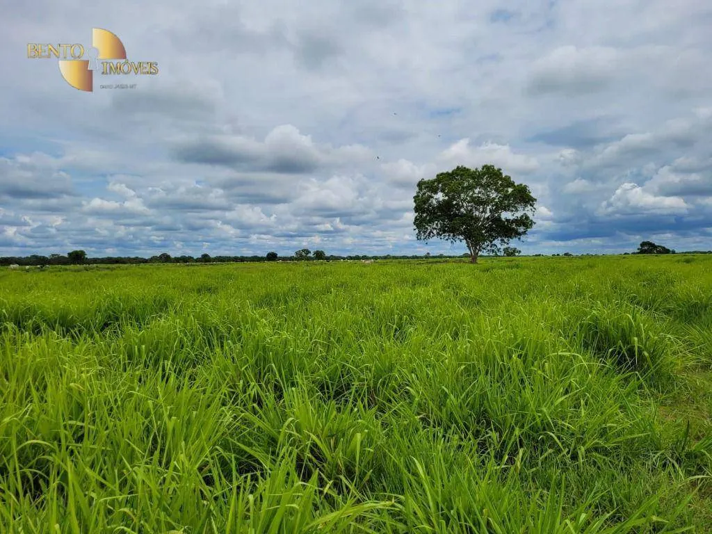 Fazenda à venda de 6.135 ha em Rondonópolis, MT, Brasil