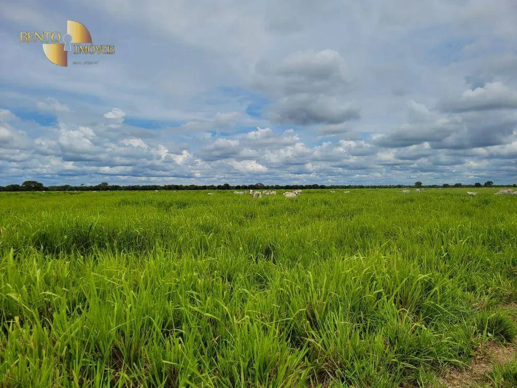 Fazenda à venda de 6.135 ha em Rondonópolis, MT, Brasil