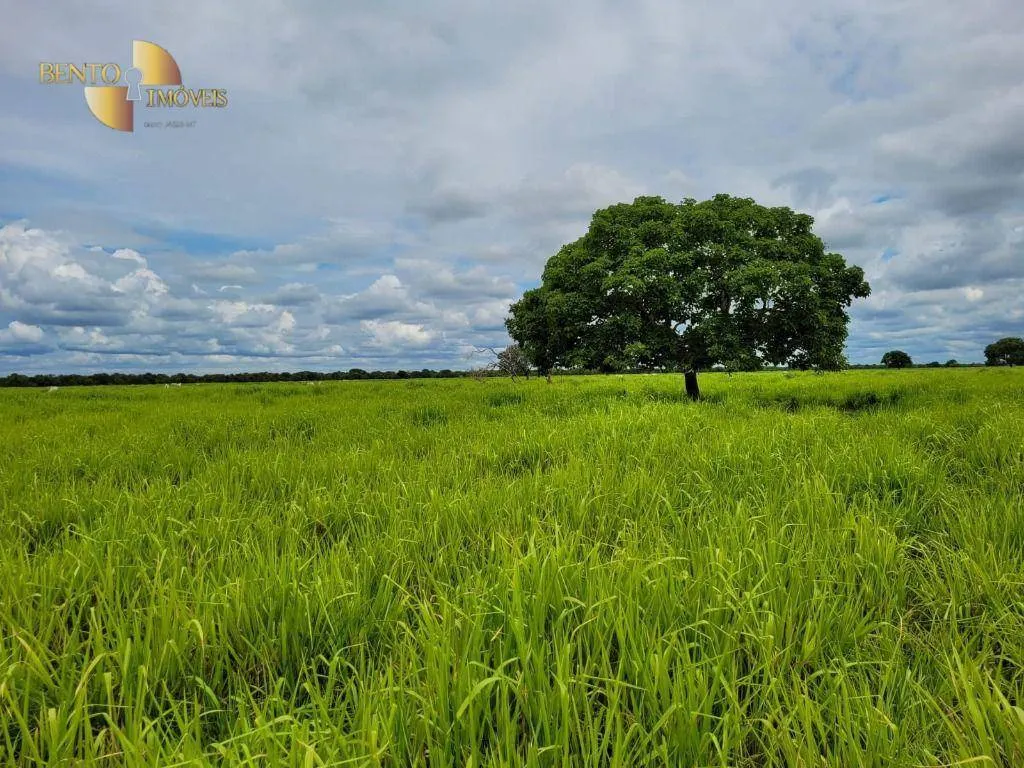 Fazenda à venda de 6.135 ha em Rondonópolis, MT, Brasil