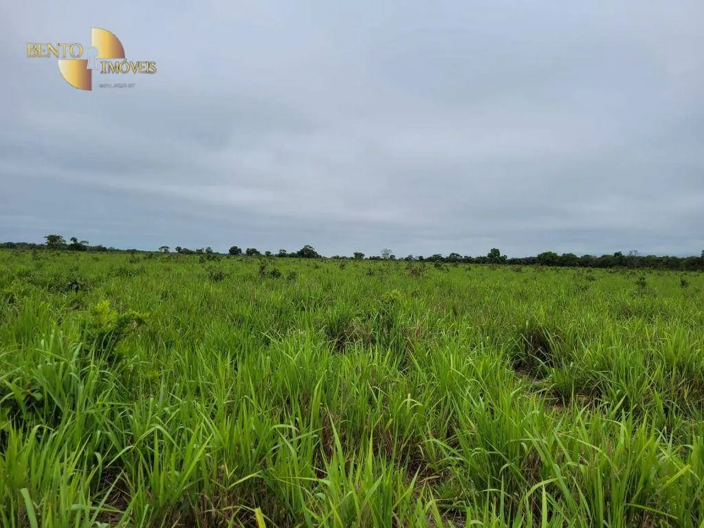 Fazenda à venda de 6.135 ha em Rondonópolis, MT, Brasil
