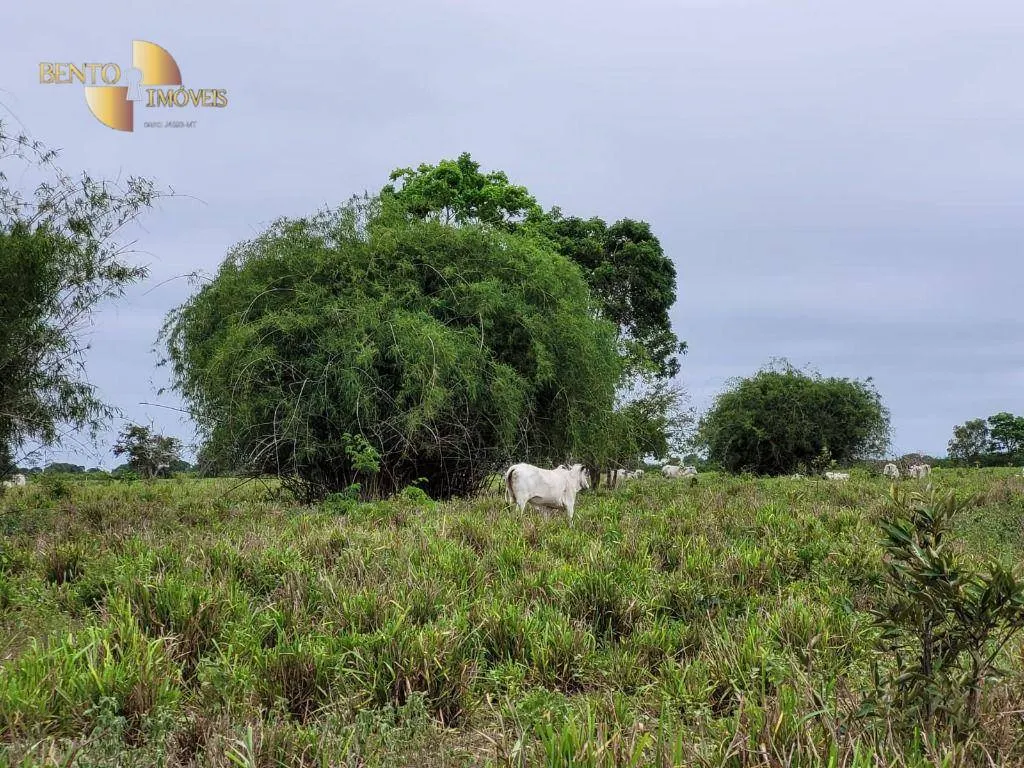 Fazenda à venda de 6.135 ha em Rondonópolis, MT, Brasil