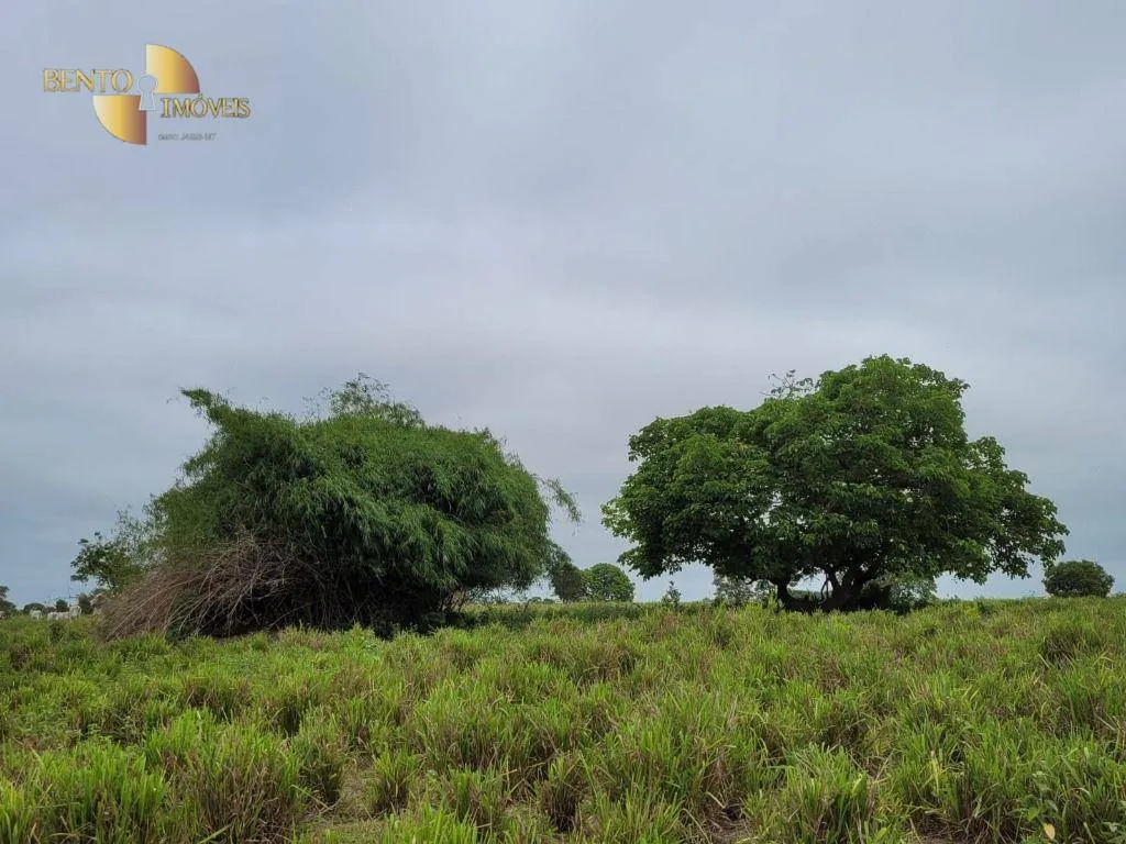 Fazenda à venda de 6.135 ha em Rondonópolis, MT, Brasil