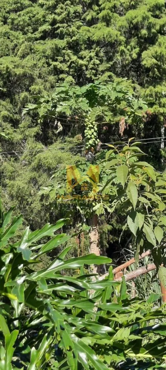 Sítio à venda de 9 ha em Nazaré Paulista, SP, Brasil