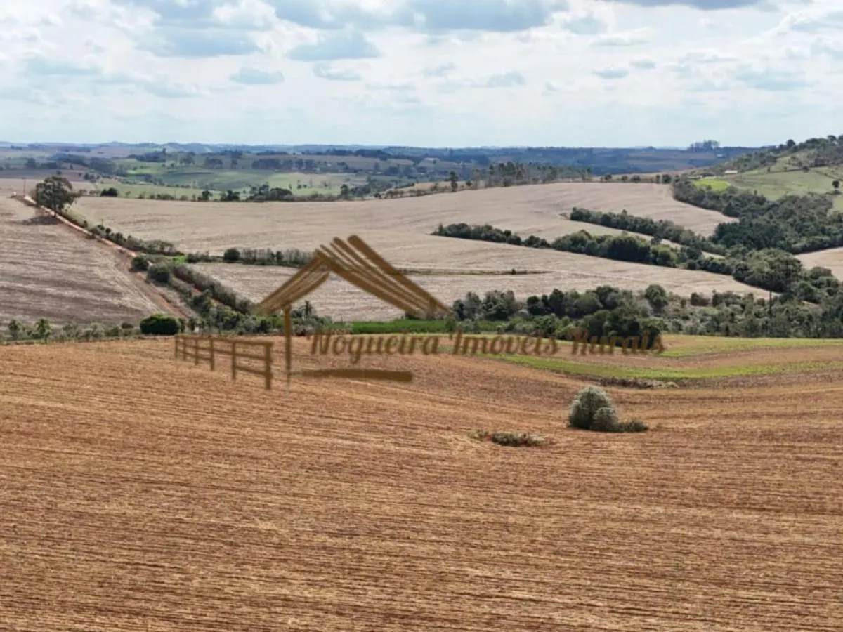 Fazenda à venda de 94 ha em Itapetininga, SP, Brasil