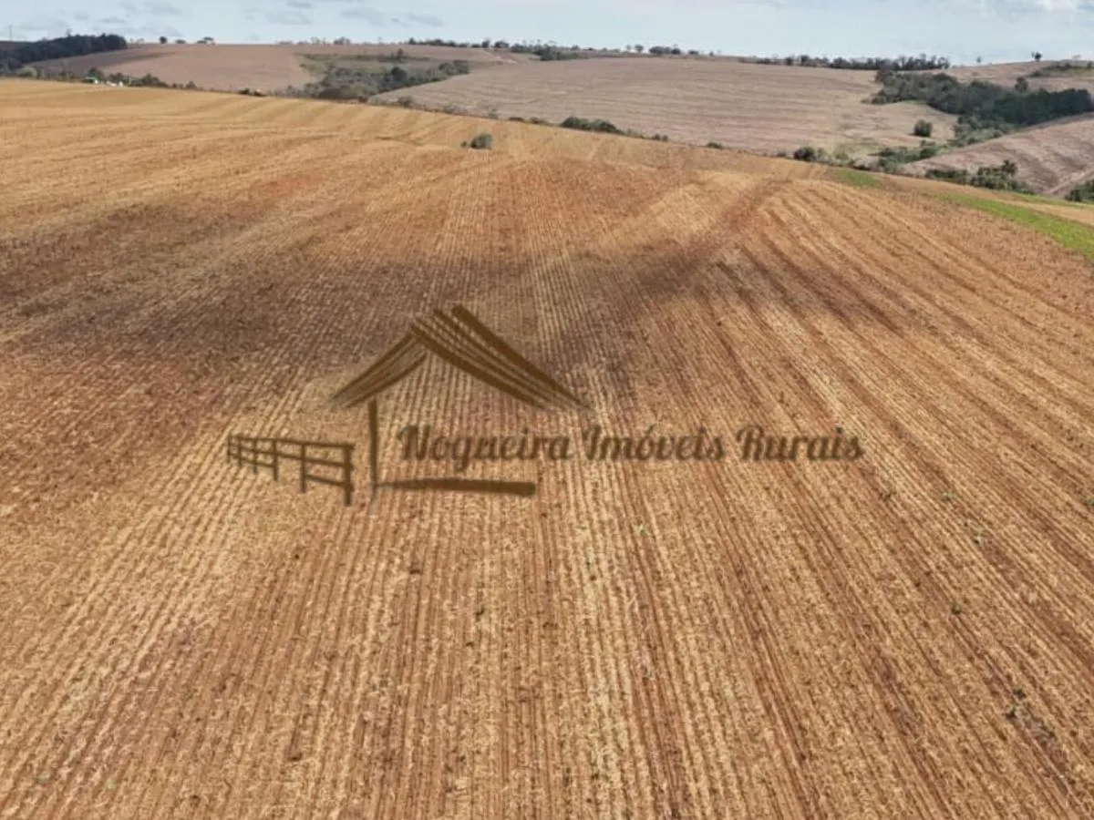Fazenda à venda de 94 ha em Itapetininga, SP, Brasil