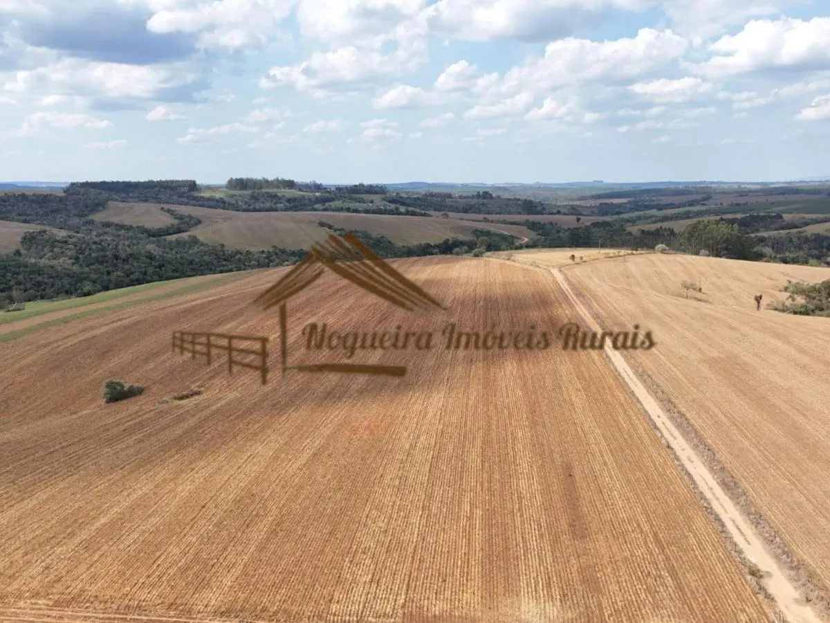 Fazenda à venda de 94 ha em Itapetininga, SP, Brasil