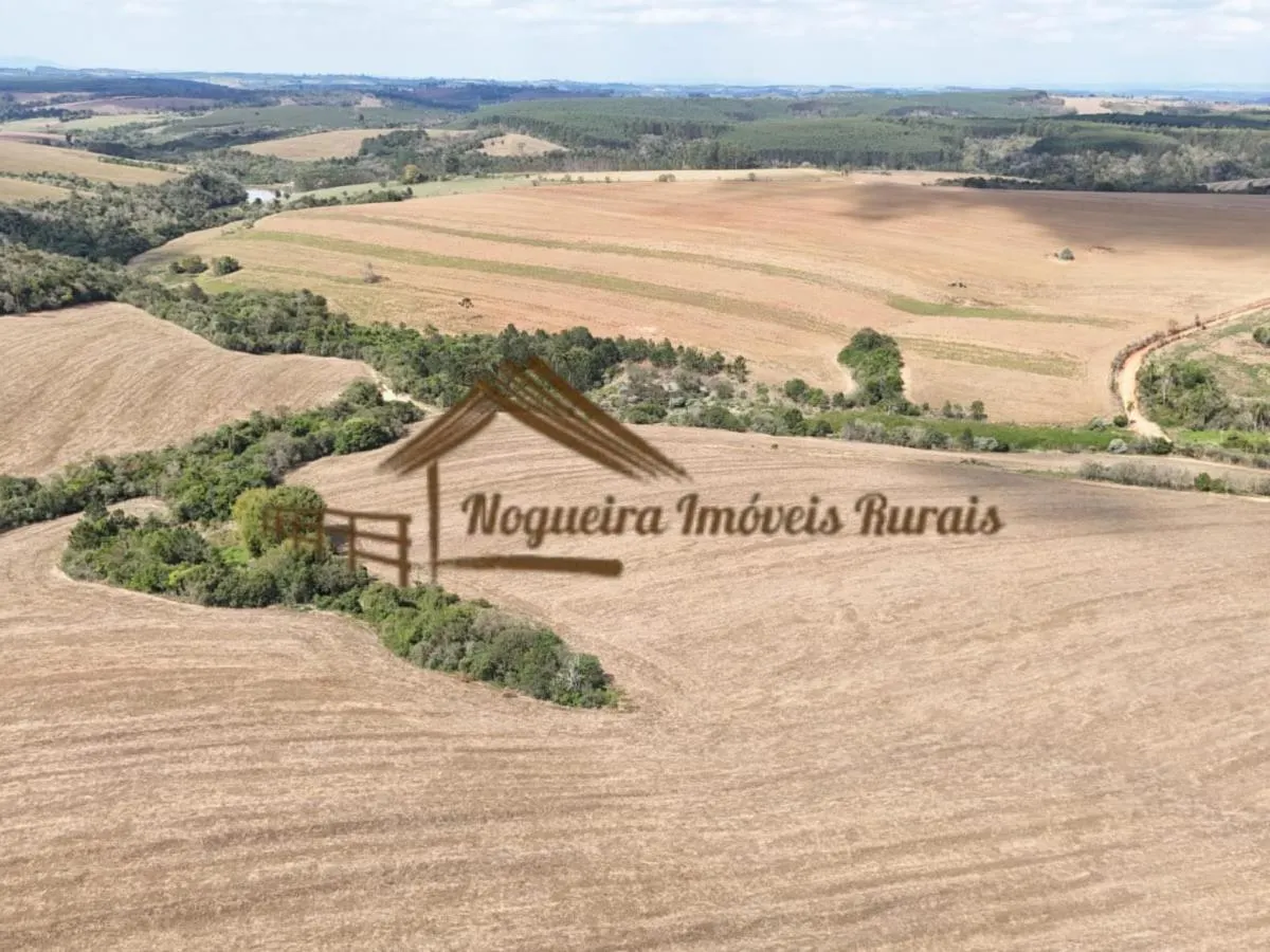 Fazenda à venda de 94 ha em Itapetininga, SP, Brasil