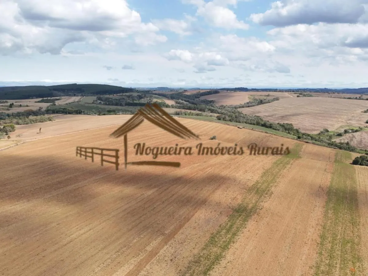 Fazenda à venda de 94 ha em Itapetininga, SP, Brasil