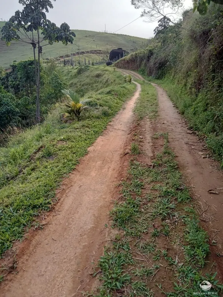 Chácara à venda de 3 ha em São José dos Campos, SP, Brasil