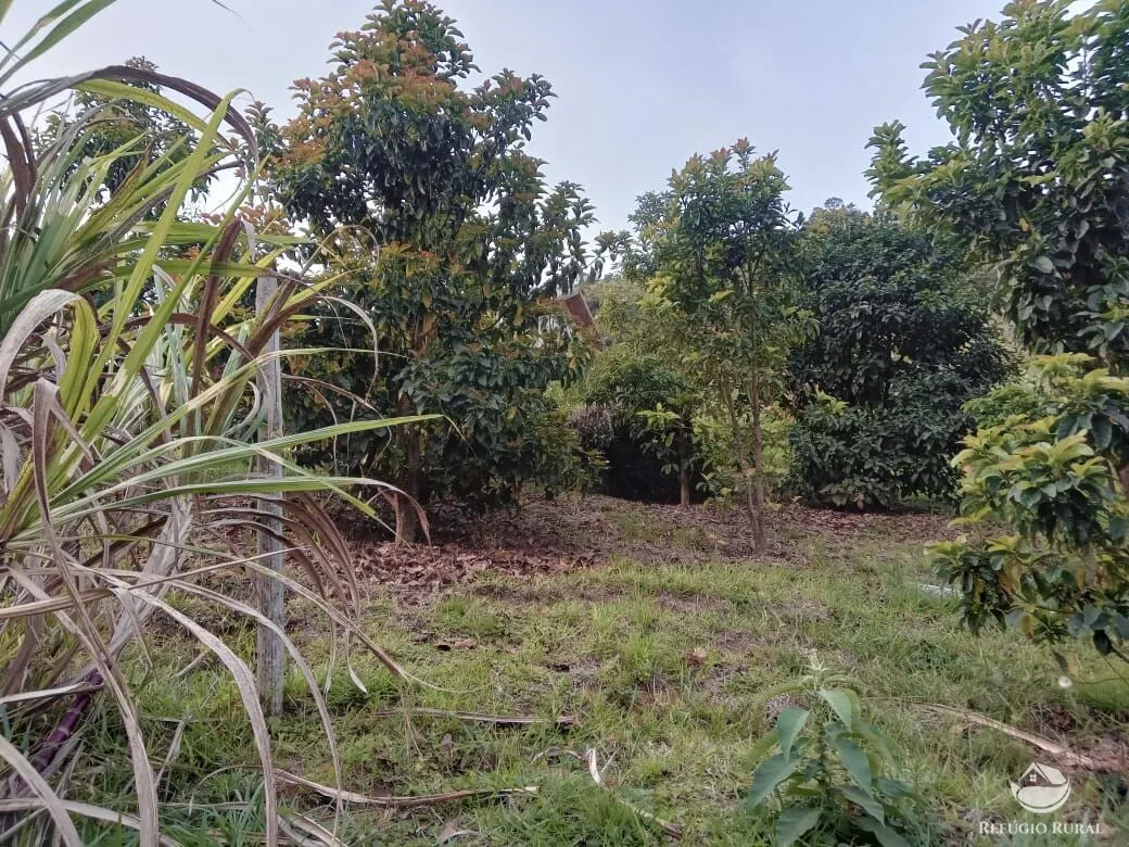 Chácara à venda de 3 ha em São José dos Campos, SP, Brasil