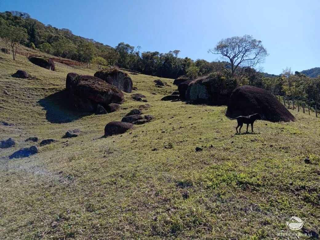 Chácara à venda de 3 ha em São José dos Campos, SP, Brasil