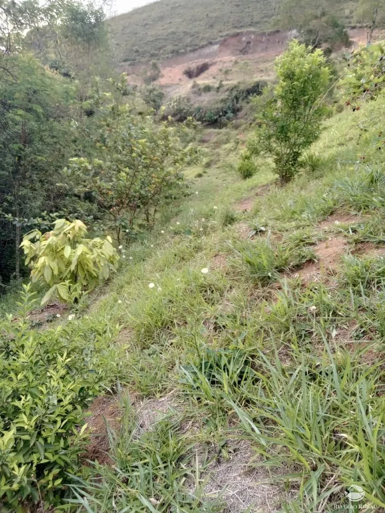 Chácara à venda de 3 ha em São José dos Campos, SP, Brasil