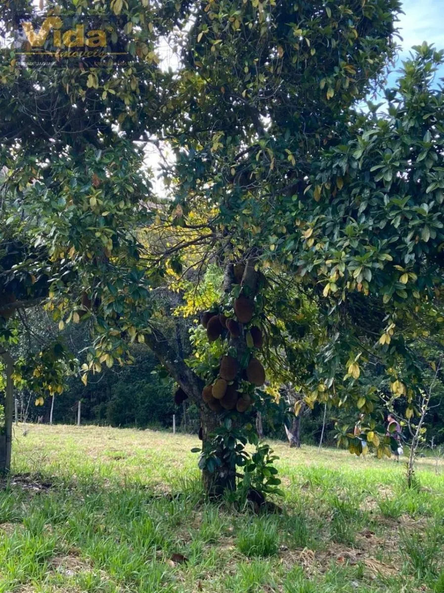 Sítio à venda de 5 ha em Mairinque, SP, Brasil