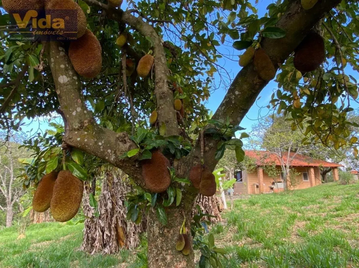 Sítio à venda de 5 ha em Mairinque, SP, Brasil