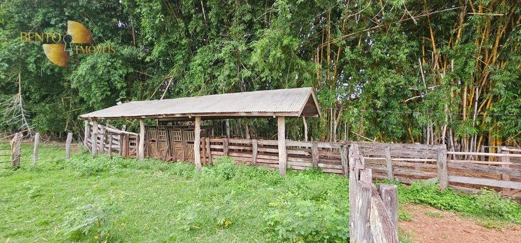 Fazenda à venda de 239 ha em São Pedro da Cipa, MT, Brasil