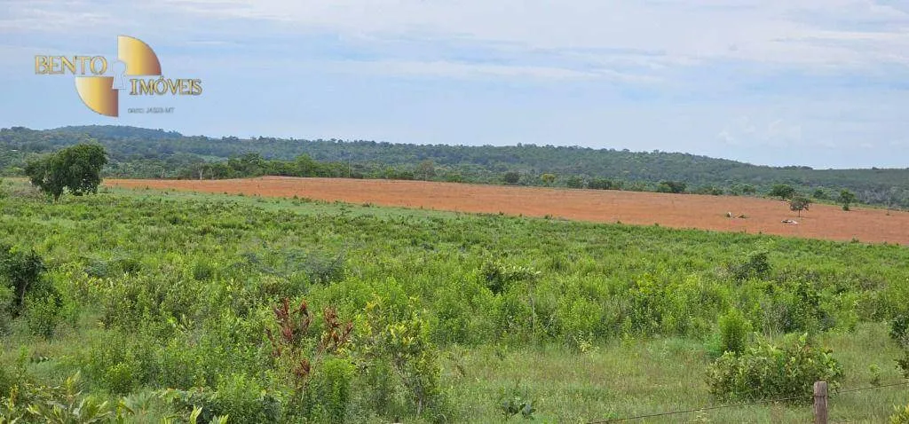 Fazenda à venda de 239 ha em São Pedro da Cipa, MT, Brasil