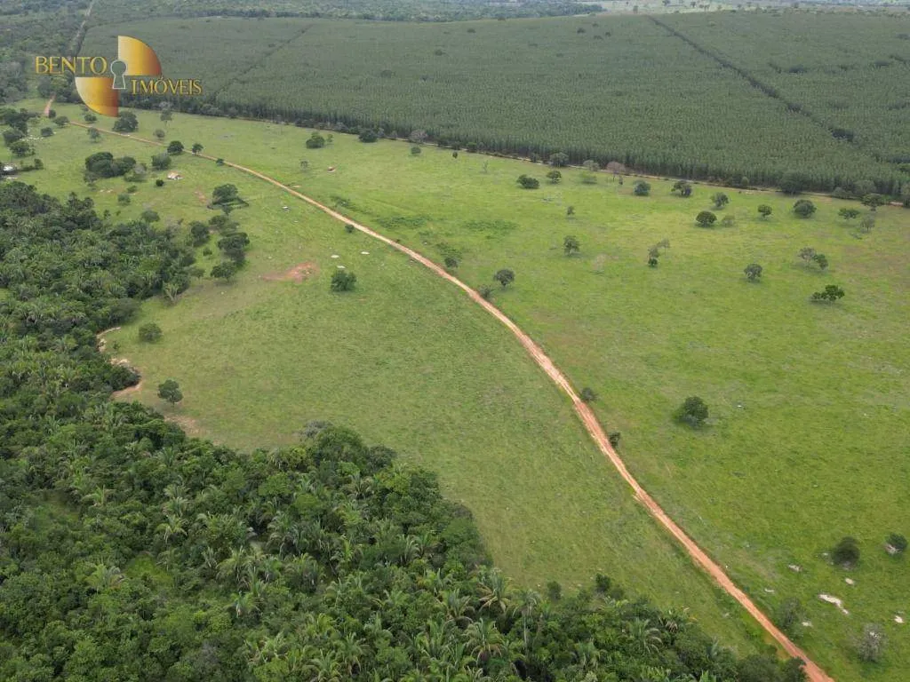 Fazenda à venda de 239 ha em São Pedro da Cipa, MT, Brasil