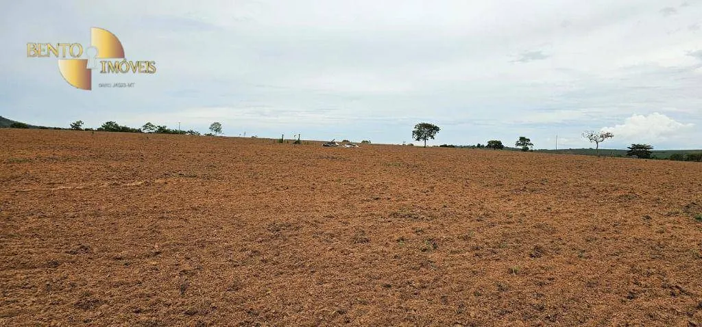 Fazenda à venda de 239 ha em São Pedro da Cipa, MT, Brasil