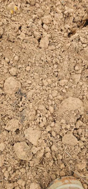Fazenda à venda de 239 ha em São Pedro da Cipa, MT, Brasil