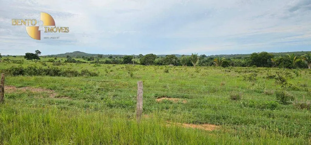 Fazenda à venda de 239 ha em São Pedro da Cipa, MT, Brasil