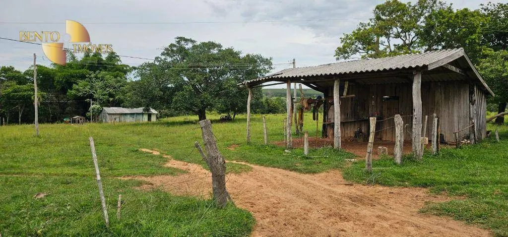 Fazenda à venda de 239 ha em São Pedro da Cipa, MT, Brasil