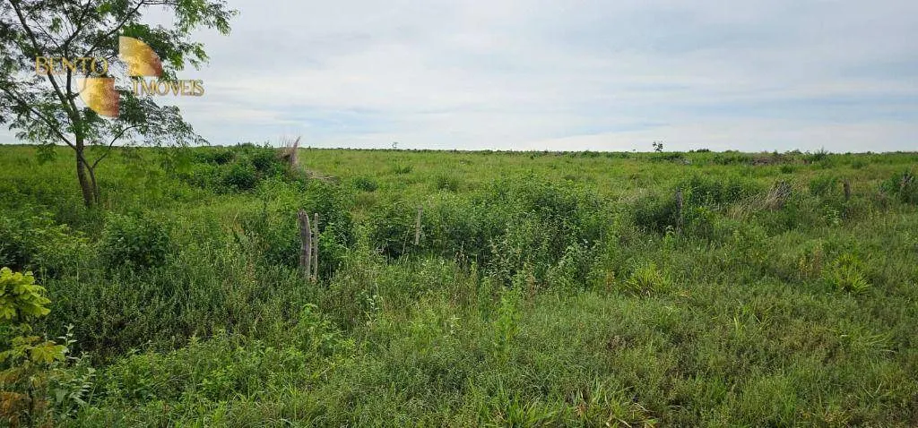 Fazenda à venda de 239 ha em São Pedro da Cipa, MT, Brasil