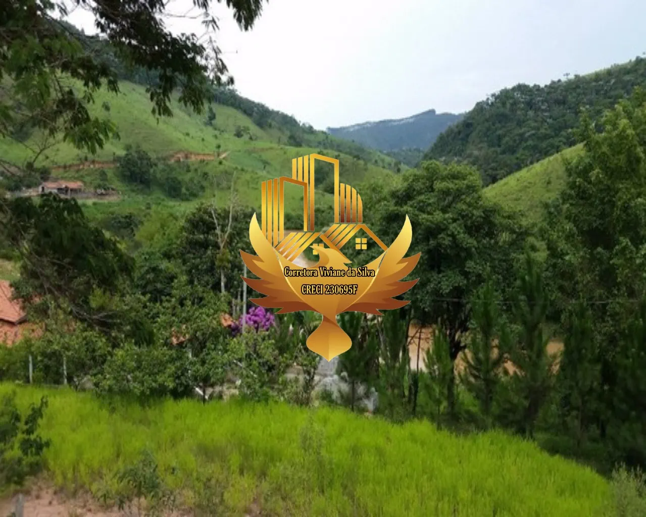 Chácara à venda de 4.000 m² em Natividade da Serra, SP, Brasil