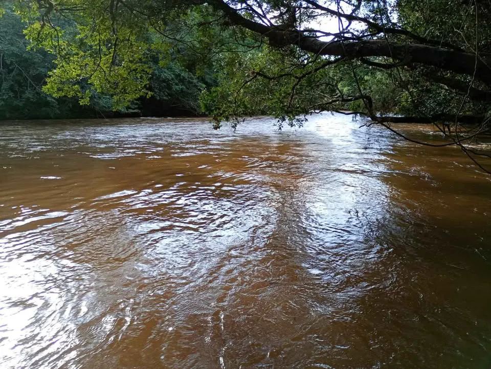 Sítio para Arrendar de 10 ha em Luminárias, MG, Brasil