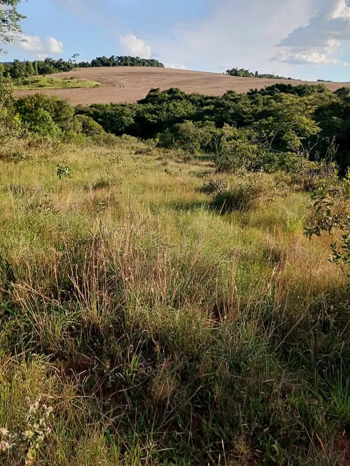 Sítio para Arrendar de 10 ha em Luminárias, MG, Brasil