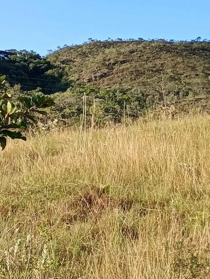 Sítio para Arrendar de 10 ha em Luminárias, MG, Brasil