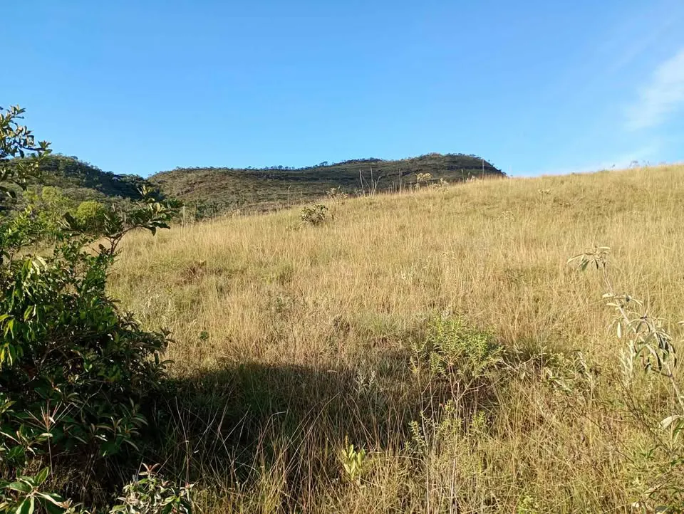 Sítio para Arrendar de 10 ha em Luminárias, MG, Brasil