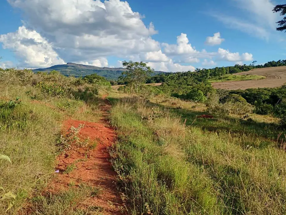 Sítio para Arrendar de 10 ha em Luminárias, MG, Brasil