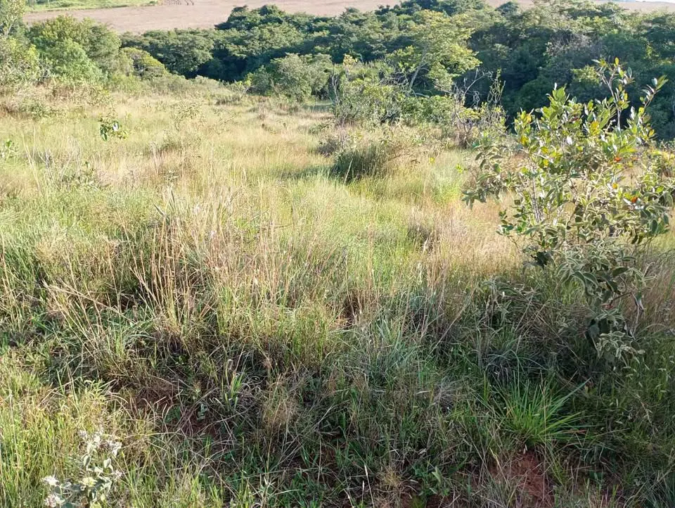 Sítio para Arrendar de 10 ha em Luminárias, MG, Brasil
