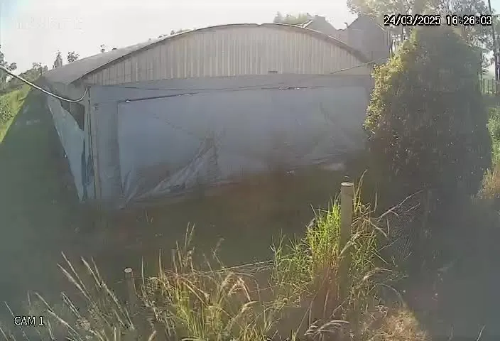 Small farm for sale of 12 acres in São Pedro, SP, Brazil